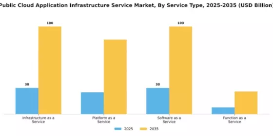 Public Cloud Application Infrastructure Service Market Segment Image 4