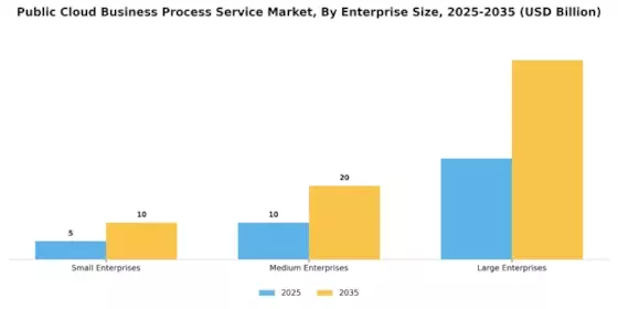 Public Cloud Business Process Service Market Segment Image 2