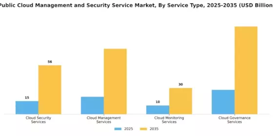 Public Cloud Management Security Service Market Segment Image 0
