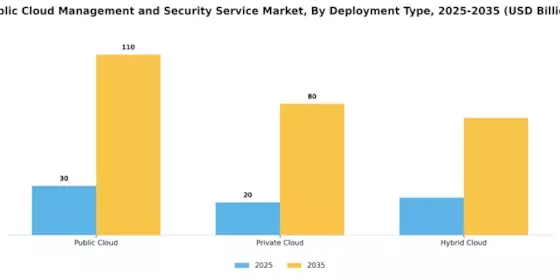 Public Cloud Management Security Service Market Segment Image 1