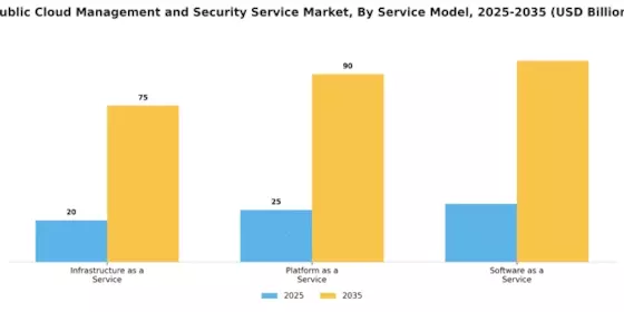 Public Cloud Management Security Service Market Segment Image 4