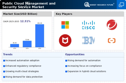 Public Cloud Management Security Service Market Infographic