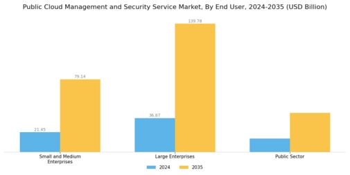 Public Cloud Management Security Service Market Segment Image 2