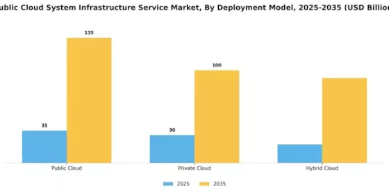 Public Cloud System Infrastructure Service Market Segment Image 1