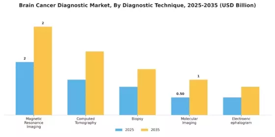 Brain Cancer Diagnostic Market Segment Image 0