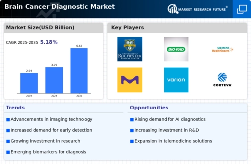Brain Cancer Diagnostic Market Infographic