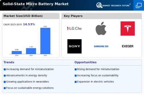 Solid-State Micro Battery Market Infographic