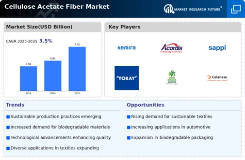 Cellulose Acetate Fiber Market Infographic