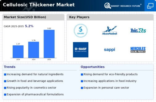 Cellulosic Thickener Market Infographic