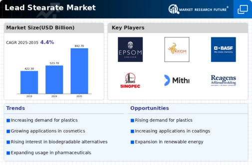 Lead Stearate Market Infographic