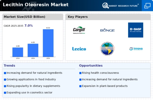 Lecithin Oleoresin Market Infographic