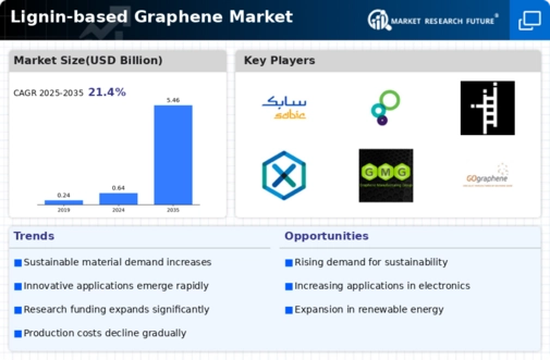 Lignin based Graphene Market Infographic
