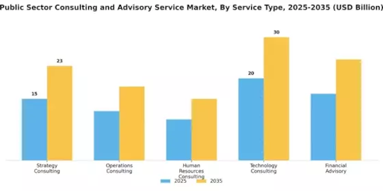 Public Sector Consulting Advisory Service Market Segment Image 0