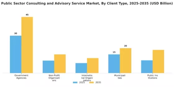 Public Sector Consulting Advisory Service Market Segment Image 2