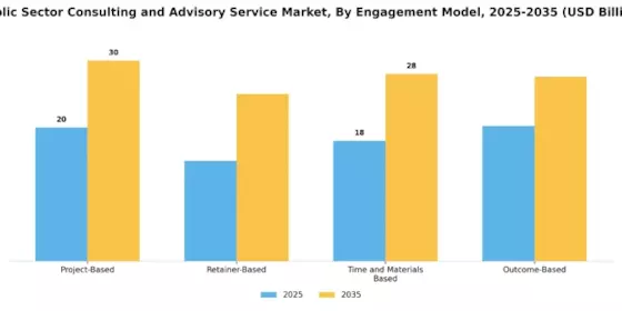 Public Sector Consulting Advisory Service Market Segment Image 3