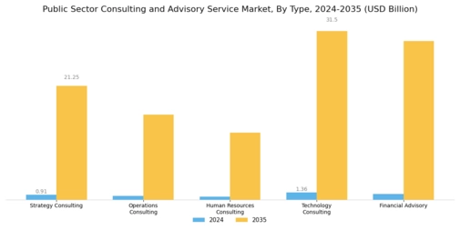 Public Sector Consulting Advisory Service Market Segment Image 0