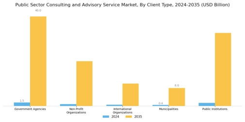 Public Sector Consulting Advisory Service Market Segment Image 2