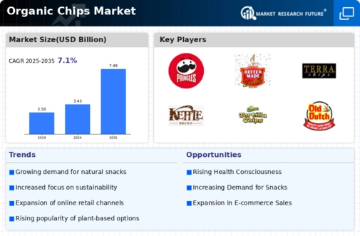 Organic Chips Market Infographic