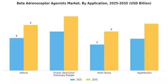Beta Adrenoceptor Agonists Market Segment Image 0