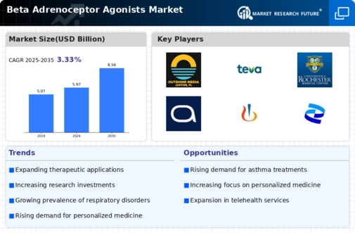 Beta Adrenoceptor Agonists Market Infographic
