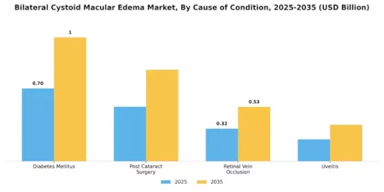 Bilateral Cystoid Macular Edema Market Segment Image 1
