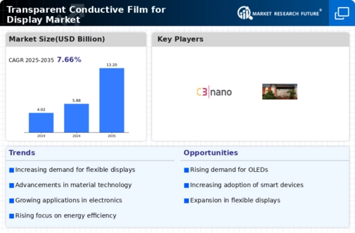 Transparent Conductive Film Display Market Infographic