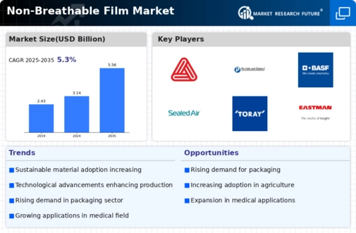 Non Breathable Film Market Infographic