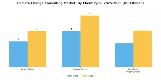 Climate Change Consulting Market Segment Image 3