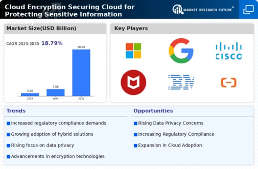 Cloud Encryption Securing Cloud for Protecting Sensitive Information Industry Market Infographic