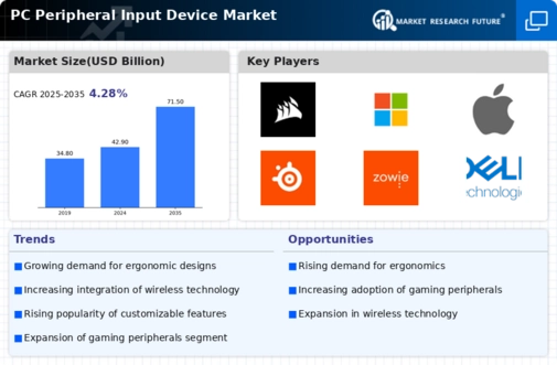 PC Peripheral Input Device Market Infographic