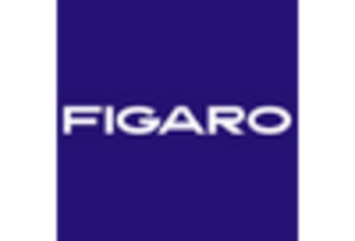 Oxygen Gas Sensor Market key player