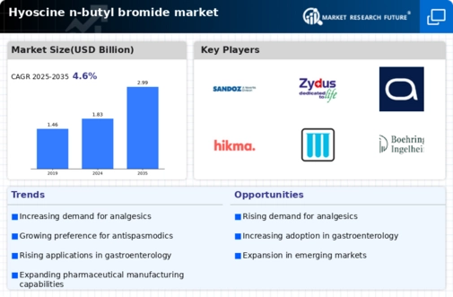 Hyoscine N Butyl Bromide Market Infographic