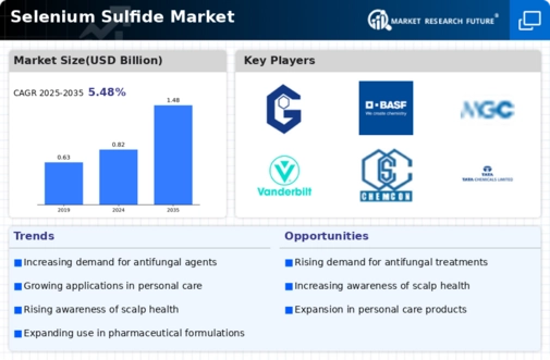 Selenium Sulfide Market Infographic