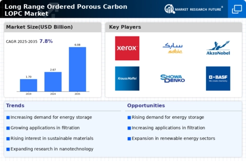 Long Range Ordered Porous Carbon Market Infographic