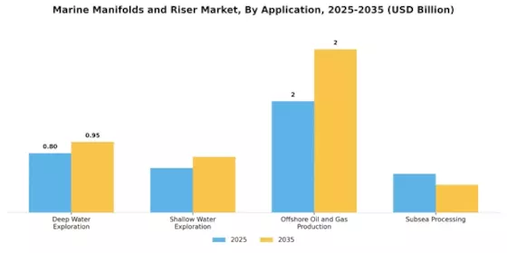 Marine Manifolds Riser Market Segment Image 0