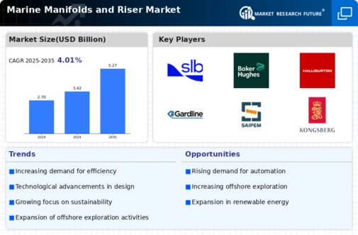 Marine Manifolds Riser Market Infographic