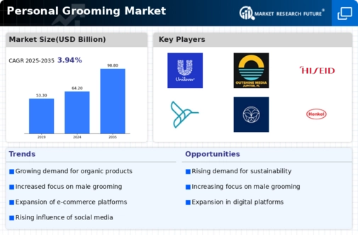 Personal Grooming Market Infographic