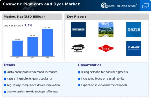 Cosmetic Pigments and Dyes Market Infographic