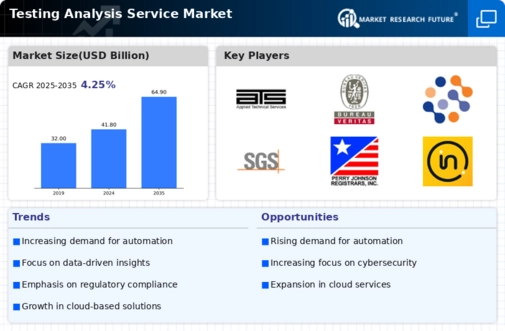 Testing Analysis Service Market Infographic