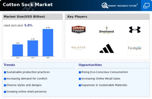 Cotton Sock Market Infographic