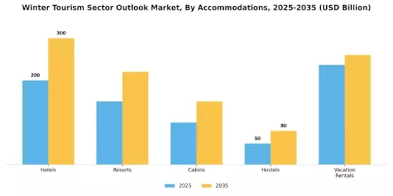 Winter Tourism Sector Outlook Market Segment Image 1