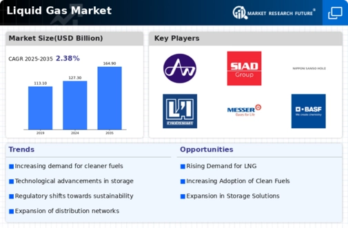 Liquid Gas Market
 Infographic