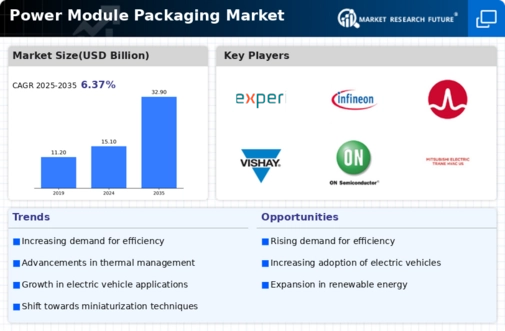 Power Module Packaging Market
 Infographic