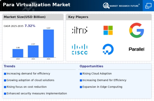 Para Virtualization Market Infographic