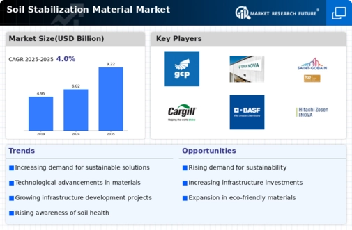 Soil Stabilization Material Market Infographic