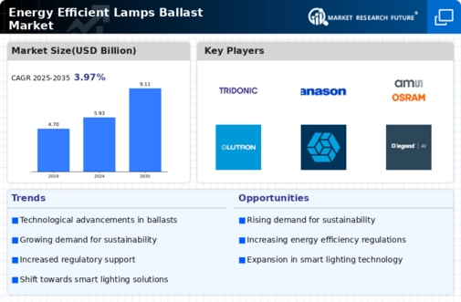 Energy Efficient Lamps Ballast Market Infographic