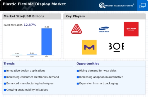 Plastic Flexible Display Market Infographic