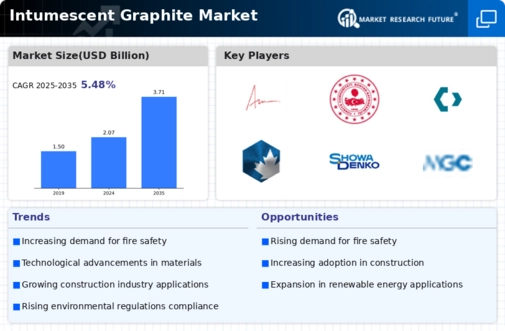 Intumescent Graphite Market Infographic