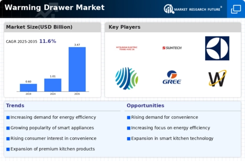 Warming Drawer Market Infographic