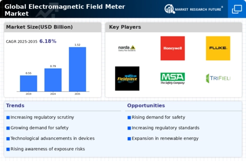 Electromagnetic Field Meter Market Infographic
